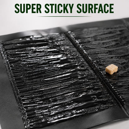 Super Sticky Mouse Trap Pad