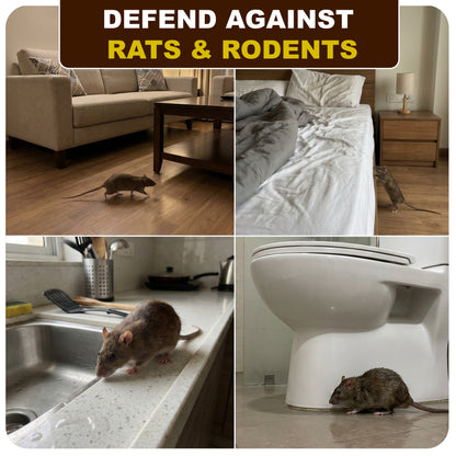 Rat Repellent Spray – Safe, Effective, and Eco-friendly ,