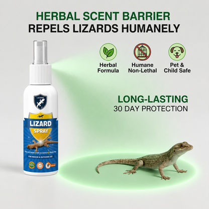 Lizard Repellent Spray for Home